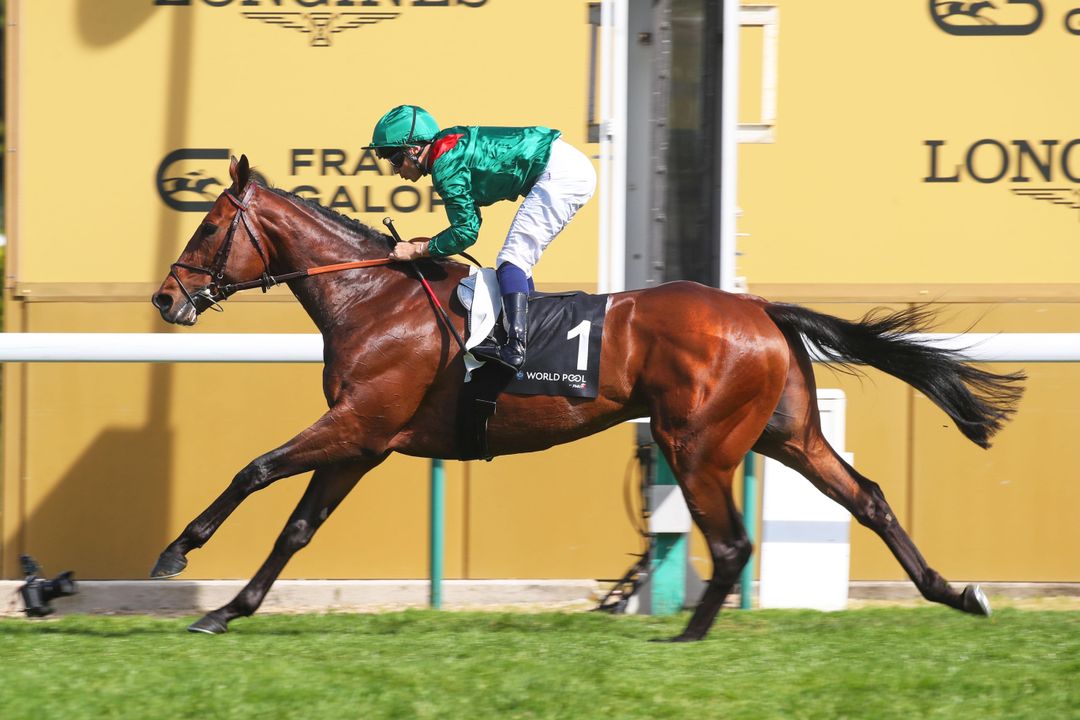 Daryz scored a flawless victory in the Prix Ganay World Pool by PMU